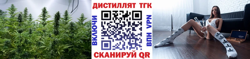 Купить где  Далматово  ТГК THC oil 