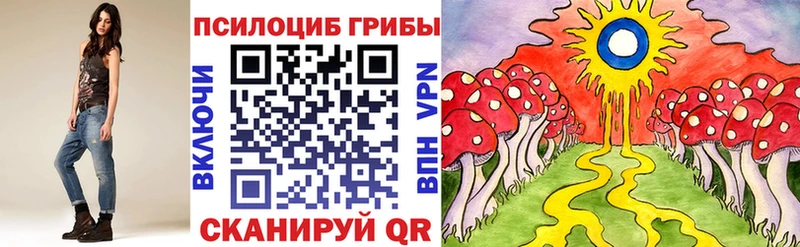 Псилоцибиновые грибы мицелий  Купить закладки  Далматово 